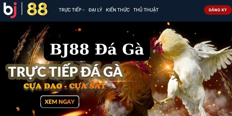 Hình thức đặt cược đá gà phổ biến ở sân chơi