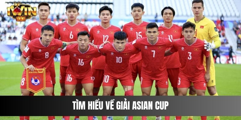 Tìm hiểu về giải Asian Cup